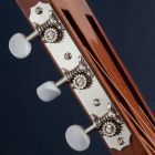 Clavijeros Golden Age Restoration para Para Ranurada - Scallop-end