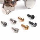 Tornillos de Clavijas para Pala Maciza Golden Age